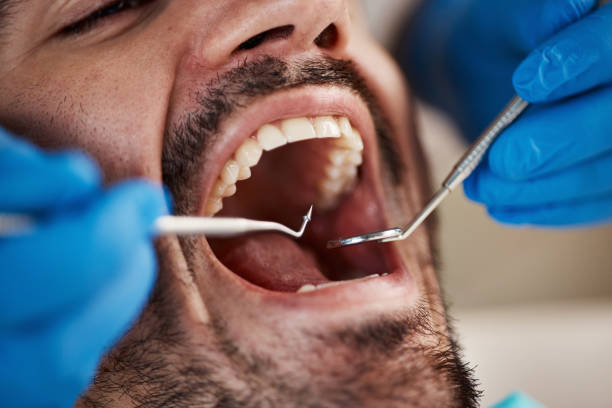 Professional Holistic Dental Care Services in Raubsville, PA